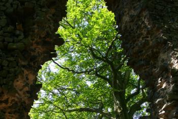 Hrad Bradlec - průhled branou  (© Pavel Jarý, 17.05.2009)