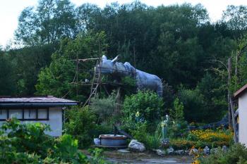  ( © Jiří Čížek 07/2012)