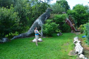  ( © Jiří Čížek 07/2012)