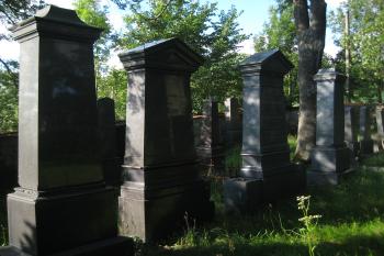  (© Zdeněk Susa, 07/2012)