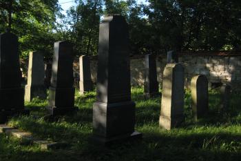  (© Zdeněk Susa, 07/2012)