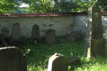  (© Zdeněk Susa, 07/2012)