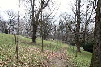 Zámecká zahrada v pohledu od zámku (© Daniela Fantová, 11/2012)