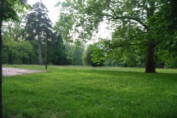 část zámeckého parku (© D Dohňanský, 06/2015)