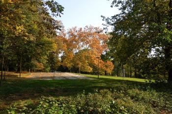 podzimní zámecký park (© D Dohňanský, 11/2018)