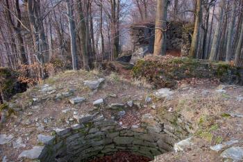 Nový Hrad (© Roman Zikmund, 2/2008)