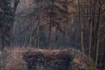 Nový Hrad (© Roman Zikmund, 2/2008)
