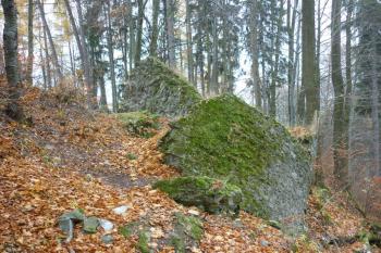 Roztrhaná věž, jejíž ohromné kusy se válí všude po lese (© Jan Večeřa, 11/2015)