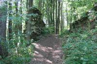 Nový hrad (u Hanušovic)