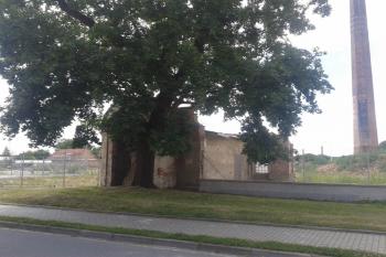 ( © Ivo Rozehnal 06/2018)