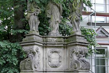  ( © Pavel Zany Komárek 13. 6. 2010)