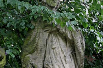  ( © Pavel Zany Komárek 13. 6. 2010)