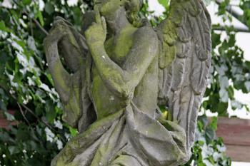  ( © Pavel Zany Komárek 13. 6. 2010)