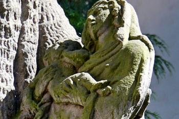  ( © Pavel Zany Komárek 12. 8. 2012)