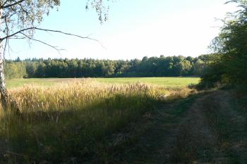 Přilehlá louka (© Prudký Martin, 08/2012)