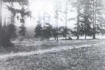 Místo přestřelky (30.4.1942 Policejní protokol. Sbírka René Černého)