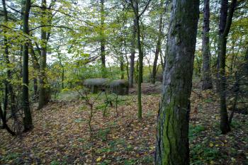 Pohled - sever (© Petr Tesař, 10/2012)