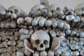  (© Pavel Valenta, 10/2012)