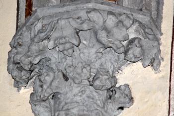  ( © Pavel Zany Komárek 5. 6. 2011)