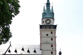  (  © Pavel Zany Komárek 5. 6. 2011)