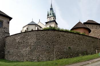  ( © Pavel Zany Komárek 5. 6. 2011)