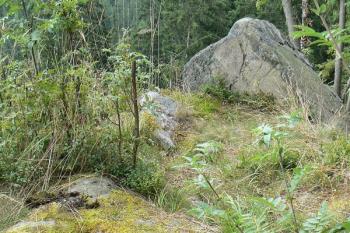 Plošina, na které stál hrádek Plikenštejn (© Jan Boukal, 7/2012)