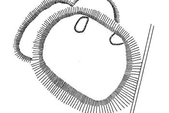 plán tvrziště Kostelní Bříza (© J. Úlovec - Encyklopedie českých tvrzí, kol. autorů, nakl. Argo, r. 2000)