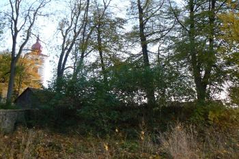 Pohled na tvrziště od severu (© Jan Boukal, 10/2012)