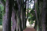 Moravec