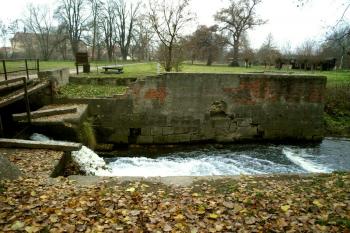  ( © Milan Caha 11/2012)