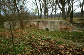  ( © Milan Caha 11/2012)