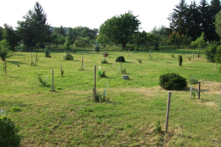 Arboretum Vrahovice