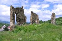 Holumnica