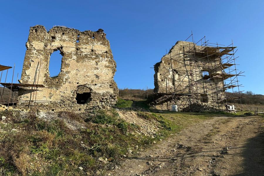 Holumnica