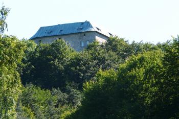 pohled vzhůru (© Alena Volná, 6/2009)