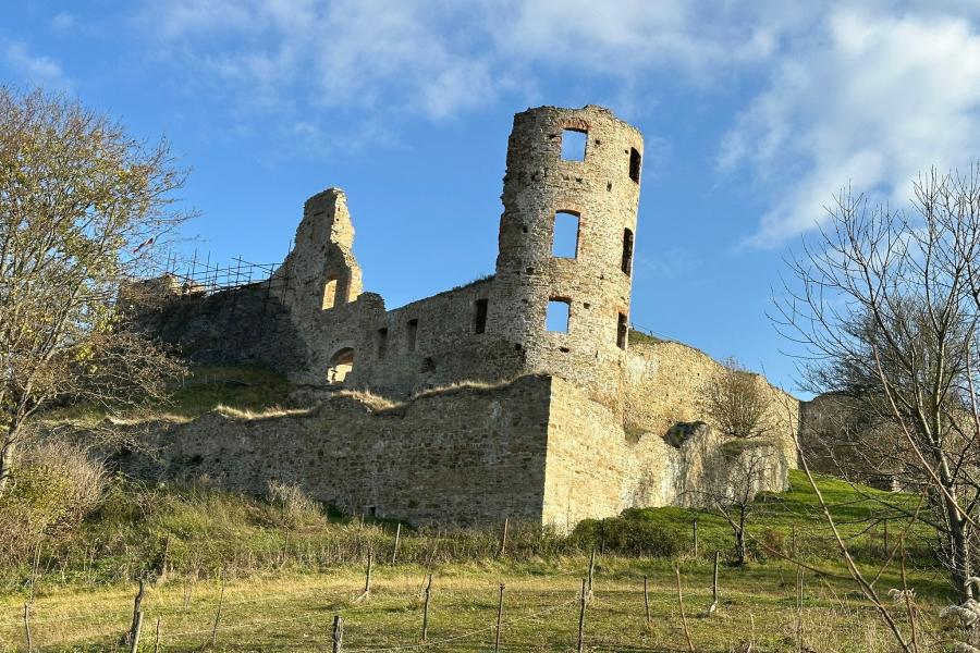 Plaveč