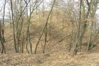 Zvolská homole