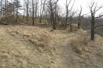 pohled na příčný (vlevo) a boční (vpravo) val z plochy zaniklého hradu (© Jaroslav Valečka, 1/2012)