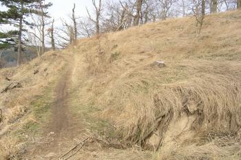 stezka na hrad protíná okraj bočního valu (© Jaroslav Valečka, 1/2012)