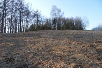 Kláštenec, celkový pohled na lokalitu od severu (© Zdeněk Fišera 10/2012)