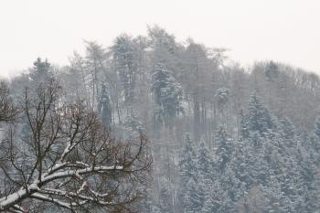 Pohled na Hradiště od silnice v Karlově (Ondřej Peterka 15.1.2013)