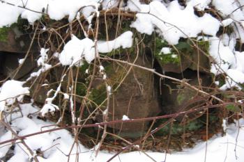 jediný zbytek zdi (© Ondřej Peterka , 01/2013)