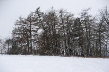 Pohled na Hradiště od cesty příchozího (©  Ondřej Peterka, 01/2013)