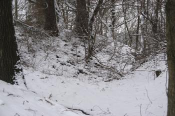 Vnější val s příkopem (©  Ondřej Peterka, 01/2013)