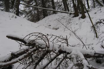 Příkop hluboký 6 m (©  Ondřej Peterka, 01/2013)
