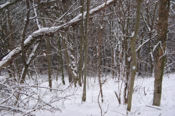 Okolní strmé srázy (©  Ondřej Peterka, 01/2013)