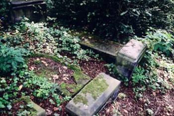  (© Jitka Oltová, 06/2004)