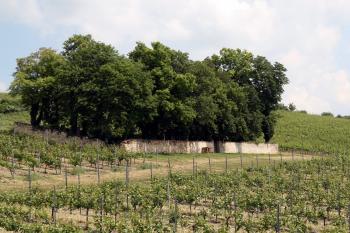 hřbitov (© Stanislav Drda, 06/2016)