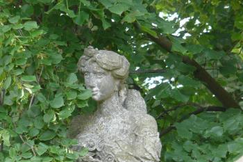  (© Alena Volná, 6/2010)