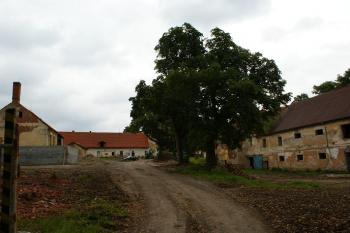 Chříč (© Jaroslav Černín, 07/2009)